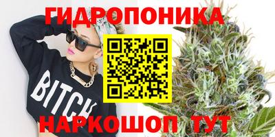 ПСИЛОЦИБИНОВЫЕ ГРИБЫ Краснодар