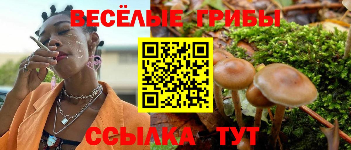 Воронеж  Псилоцибиновые грибы мухоморы  Вход с VPN 
